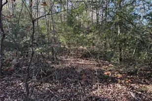 Tbd County Road 301 Tract 7 Rd, Fairfield, TX 75855 - Photo 4