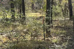 Tbd County Road 301 Tract 7 Rd, Fairfield, TX 75855 - Photo 10