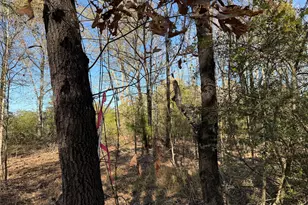 Tbd County Road 301 Tract 7 Rd, Fairfield, TX 75855 - Photo 12