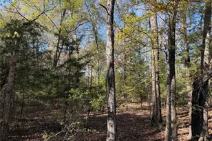 Tbd County Road 301 Tract 7 Rd, Fairfield, TX 75855 - Photo 8