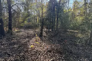 Tbd County Road 301 Tract 7 Rd, Fairfield, TX 75855 - Photo 14