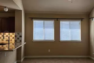 4509 Halliday Ave, Austin, TX 78725 - Photo 8