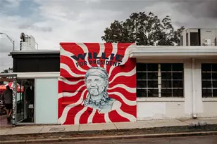 2707 Dulce Ln, Austin, TX 78704 - Photo 24