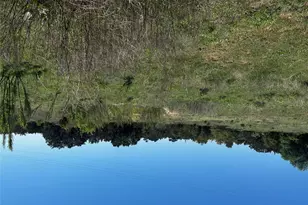 799 Bell Springs Rd, Dripping Springs, TX 78620 - Photo 10