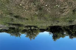 799 Bell Springs Rd, Dripping Springs, TX 78620 - Photo 4