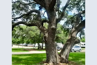 270 Hidden Path, Lockhart, TX 78644 - Photo 26