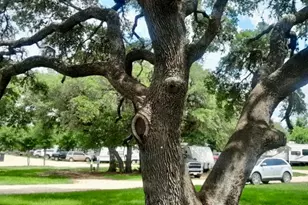 270 Hidden Path, Lockhart, TX 78644 - Photo 26