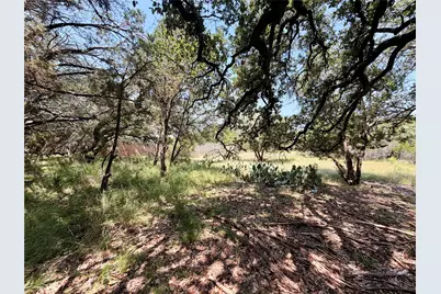 21807 O'Henry Avenue, Lago Vista, TX 78645 - Photo 4