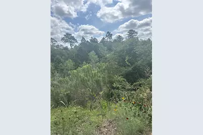 Lot 798 Tahitian Drive, Bastrop, TX 78602 - Photo 2