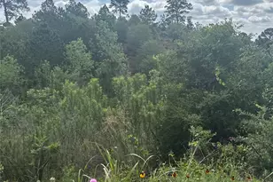 Lot 798 Tahitian Dr, Bastrop, TX 78602 - Photo 1
