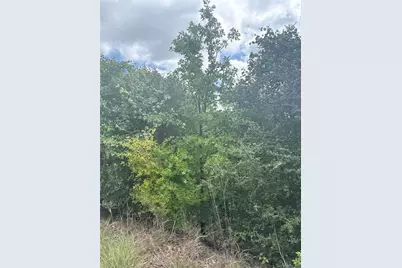 Lot 798 Tahitian Drive, Bastrop, TX 78602 - Photo 4