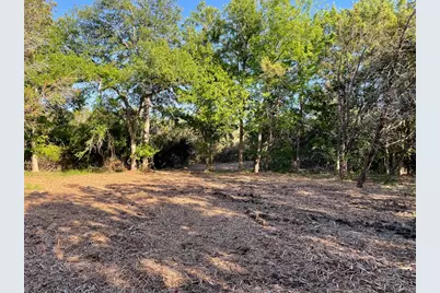 271 Ridgeline Road, Leander, TX 78641 - Photo 2