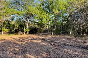 271 Ridgeline Rd, Leander, TX 78641 - Photo 2