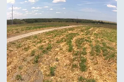 1201 County Road 460 Road, Coupland, TX 78615 - Photo 16