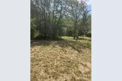 1201 County Road 460 Road, Coupland, TX 78615 - Photo 10