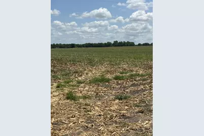 1201 County Road 460 Road, Coupland, TX 78615 - Photo 12