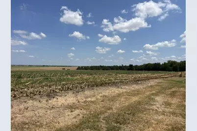 1201 County Road 460 Road, Coupland, TX 78615 - Photo 8