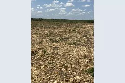 1201 County Road 460 Road, Coupland, TX 78615 - Photo 28