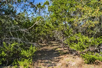 1038 Hidden Hills Drive, Dripping Springs, TX 78620 - Photo 6