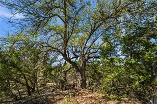 000 Hidden Hills Dr, Dripping Springs, TX 78620 - Photo 1
