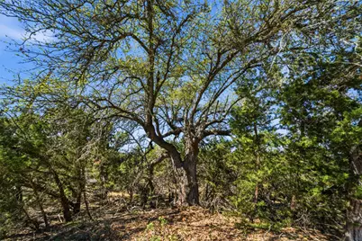 1038 Hidden Hills Drive, Dripping Springs, TX 78620 - Photo 4