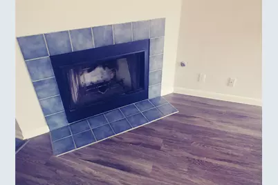 211 Wild Buffalo Drive, Kyle, TX 78640 - Photo 10