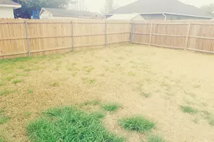 211 Wild Buffalo Dr, Kyle, TX 78640 - Photo 12