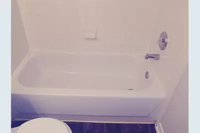 211 Wild Buffalo Drive, Kyle, TX 78640 - Photo 4