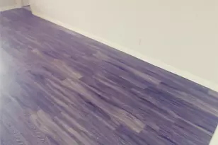 211 Wild Buffalo Dr, Kyle, TX 78640 - Photo 6