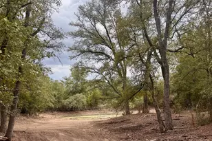 12 Acres Mt Pleasant Rd, Cedar Creek, TX 78612 - Photo 1