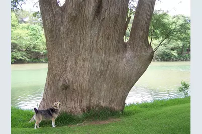 Tbd Las Flores, Wimberley, TX 78676 - Photo 4