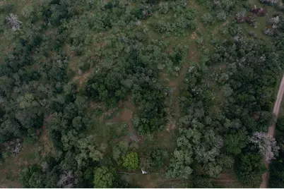 Lot 2 Private Road 4601, Waelder, TX 78959 - Photo 6