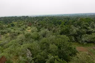 Lot 2 Private Road 4601, Waelder, TX 78959 - Photo 1