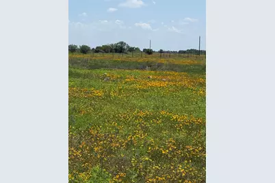 1993 Fm 2761, Cat Spring, TX 78933 - Photo 8