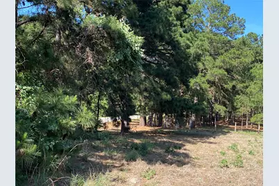 147 Oak Leaf Drive, Bastrop, TX 78602 - Photo 6