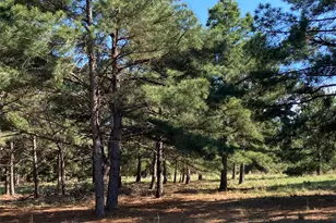 147 Oak Leaf Dr, Bastrop, TX 78602 - Photo 1