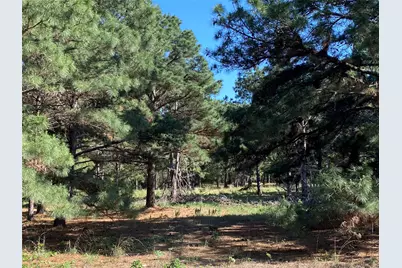 147 Oak Leaf Drive, Bastrop, TX 78602 - Photo 2