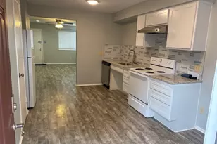 317 W William Cannon Dr, Austin, TX 78745 - Photo 4