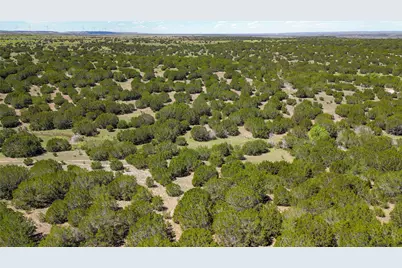 4121 County Road 2719, Evant, TX 76525 - Photo 16