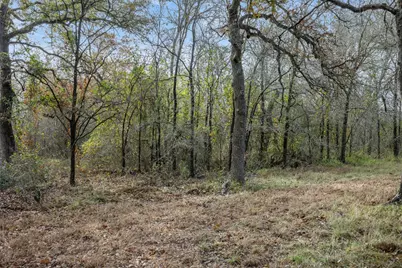 800 Bugtussle Lane, Luling, TX 78648 - Photo 6