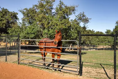 2560 Bell Springs Road, Dripping Springs, TX 78620 - Photo 34