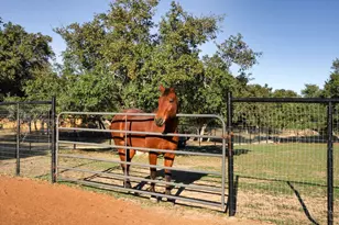 2560 Bell Springs Rd, Dripping Springs, TX 78620 - Photo 34