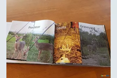 Lot 4 Cr 1255 Pitt Creek Ranch, Lampasas, TX 76550 - Photo 8