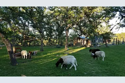 311 Harmon Hills Cove, Dripping Springs, TX 78620 - Photo 40