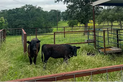 2936 Fm 1704, Elgin, TX 78621 - Photo 38