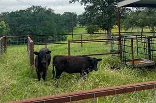 2936 Fm 1704, Elgin, TX 78621 - Photo 38