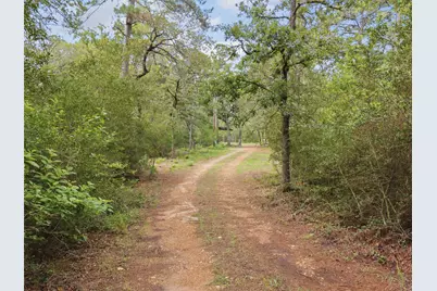 571 Pine Canyon Drive, Smithville, TX 78957 - Photo 22