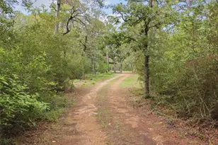 571 Pine Canyon Dr, Smithville, TX 78957 - Photo 22