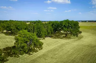 95 Loma Ln, Fredericksburg, TX 78624 - Photo 8