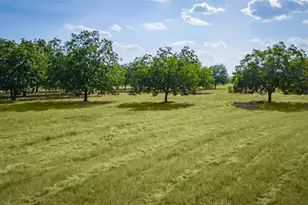 95 Loma Ln, Fredericksburg, TX 78624 - Photo 4